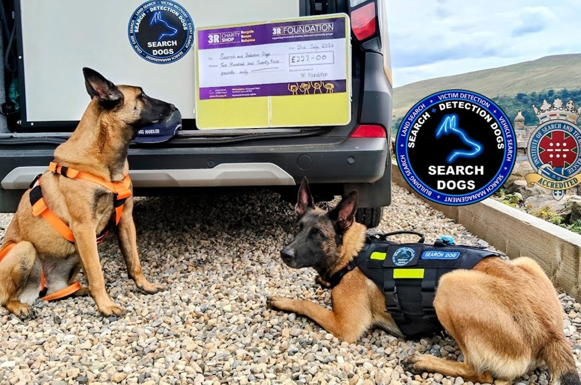 Search and Detection Dogs